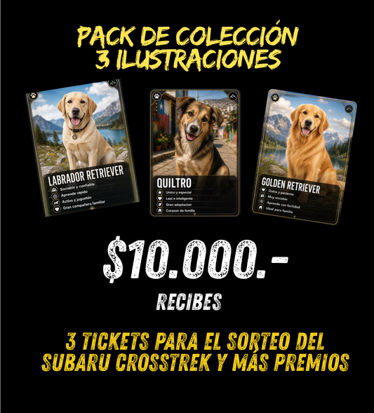 Set de 3 Ilustraciones Digitales x 3 Tickets Sorteo