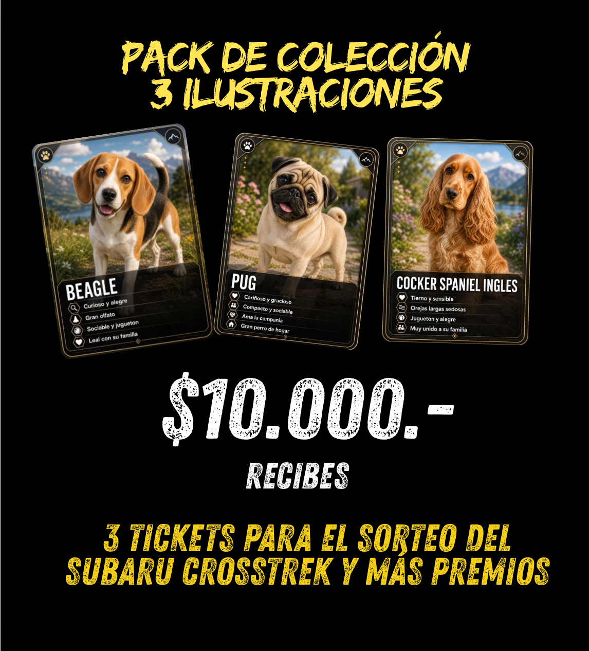 Set de 3 Ilustraciones Digitales x 3 Tickets Sorteo