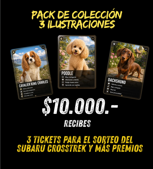 Set de 3 Ilustraciones Digitales x 3 Tickets Sorteo
